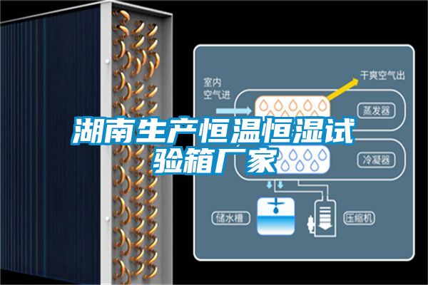湖南生產(chǎn)恒溫恒濕試驗箱廠(chǎng)家