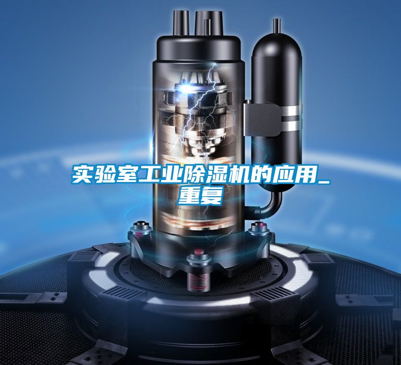 實(shí)驗室工業(yè)除濕機的應用_重復