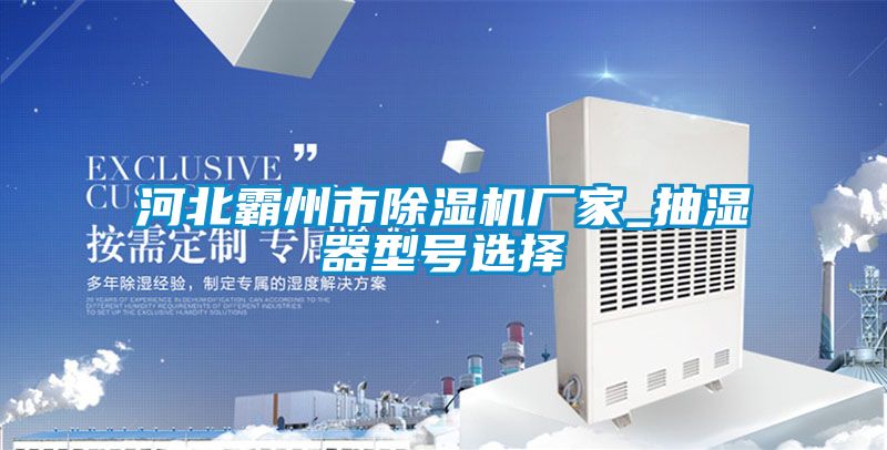 河北霸州市除濕機廠(chǎng)家_抽濕器型號選擇