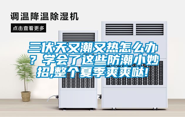 三伏天又潮又熱怎么辦？學(xué)會(huì )了這些防潮小妙招,整個(gè)夏季爽爽噠!