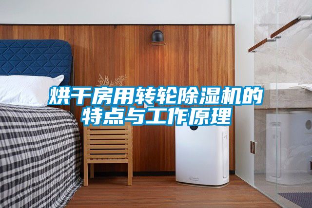 烘干房用轉輪除濕機的特點(diǎn)與工作原理