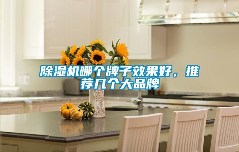 除濕機哪個(gè)牌子效果好，推薦幾個(gè)大品牌