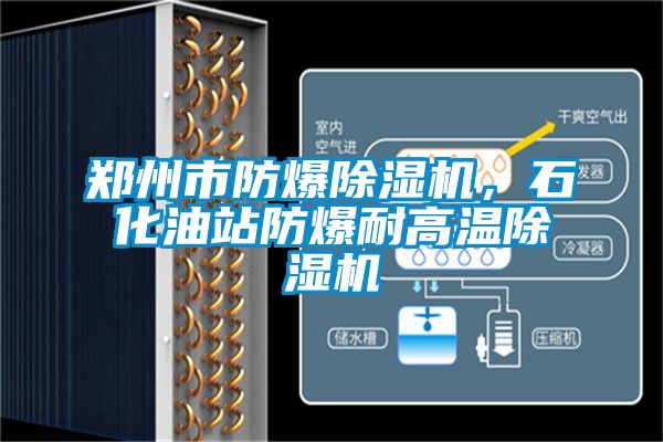 鄭州市防爆除濕機，石化油站防爆耐高溫除濕機