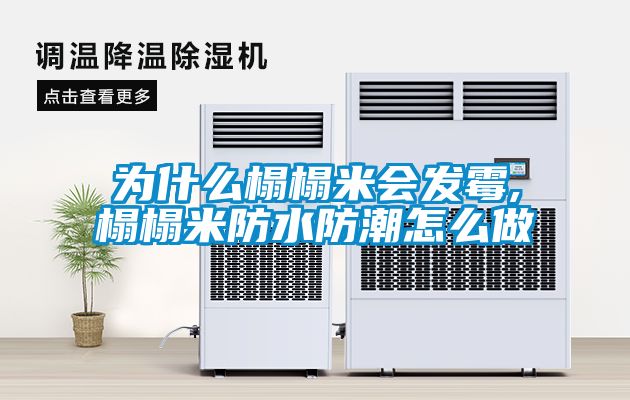 為什么榻榻米會(huì )發(fā)霉,榻榻米防水防潮怎么做