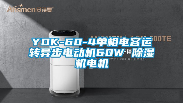 YDK-60-4單相電容運轉異步電動(dòng)機60W 除濕機電機