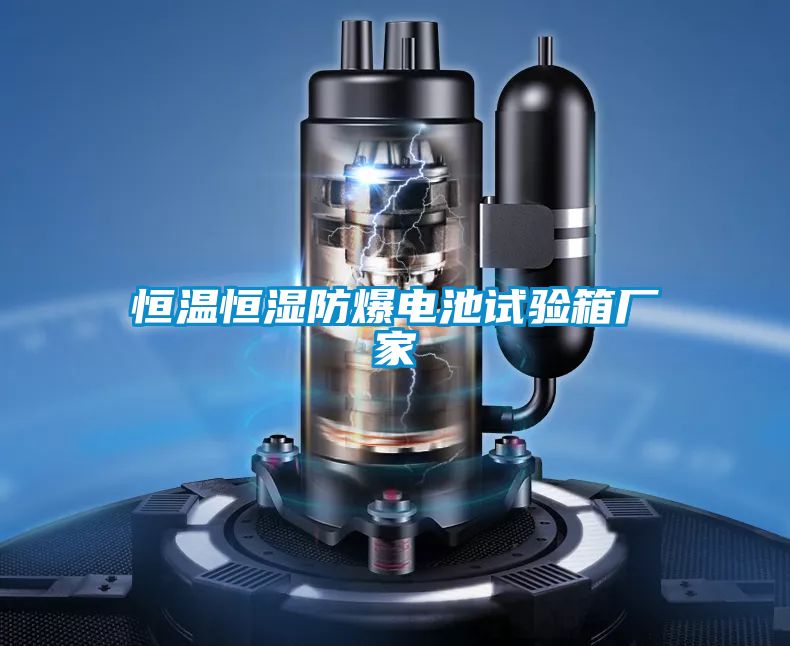 恒溫恒濕防爆電池試驗箱廠(chǎng)家