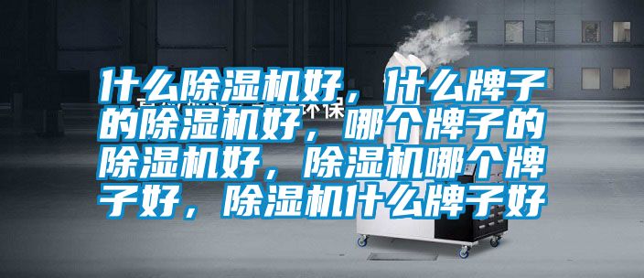 什么除濕機好，什么牌子的除濕機好，哪個(gè)牌子的除濕機好，除濕機哪個(gè)牌子好，除濕機什么牌子好