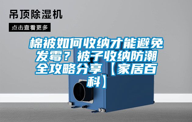 棉被如何收納才能避免發(fā)霉？被子收納防潮全攻略分享【家居百科】