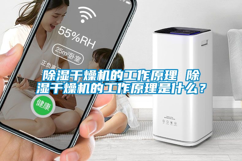 除濕干燥機的工作原理 除濕干燥機的工作原理是什么？
