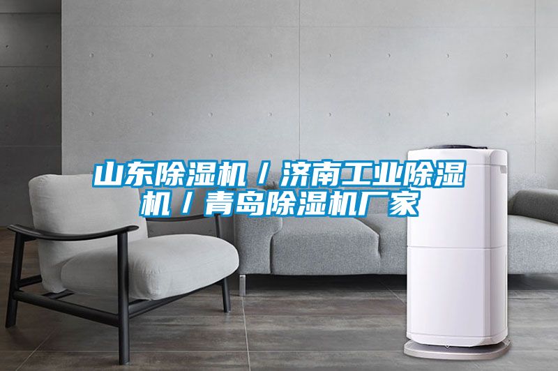 山東除濕機／濟南工業(yè)除濕機／青島除濕機廠(chǎng)家