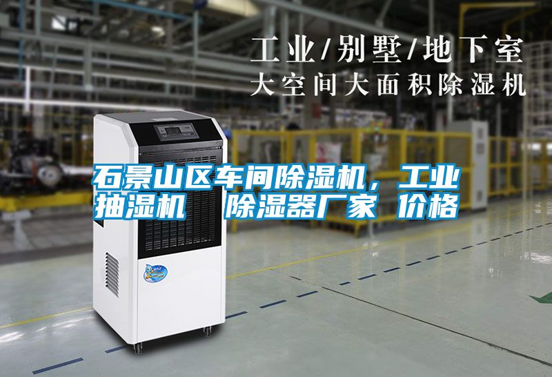 石景山區車(chē)間除濕機，工業(yè)抽濕機  除濕器廠(chǎng)家 價(jià)格