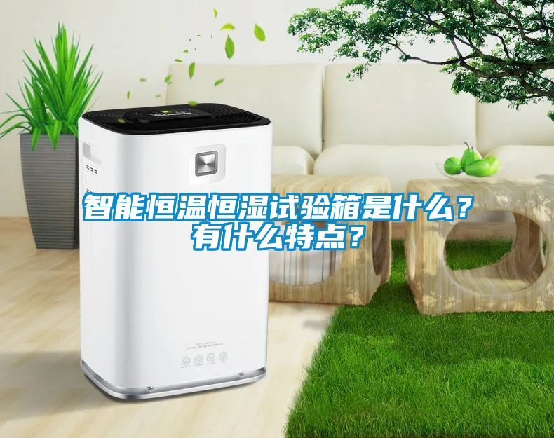 智能恒溫恒濕試驗箱是什么？有什么特點(diǎn)？