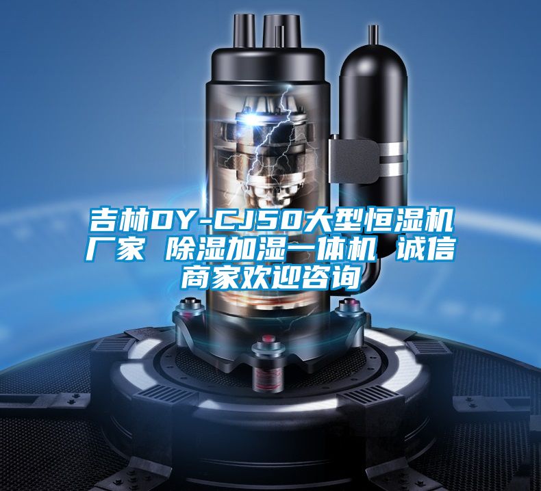 吉林DY-CJ50大型恒濕機廠(chǎng)家 除濕加濕一體機 誠信商家歡迎咨詢(xún)