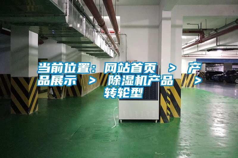 當前位置：網(wǎng)站首頁(yè) ＞ 產(chǎn)品展示 ＞ 除濕機產(chǎn)品  ＞ 轉輪型
