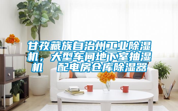 甘孜藏族自治州工業(yè)除濕機，大型車(chē)間地下室抽濕機  配電房倉庫除濕器