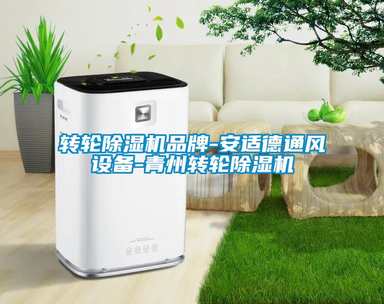 轉輪除濕機品牌-安適德通風(fēng)設備-青州轉輪除濕機