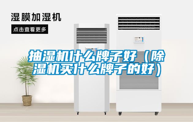 抽濕機什么牌子好（除濕機買(mǎi)什么牌子的好）