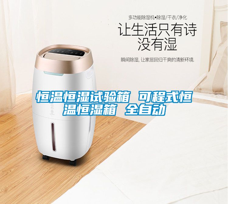 恒溫恒濕試驗箱 可程式恒溫恒濕箱 全自動(dòng)