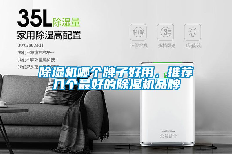 除濕機哪個(gè)牌子好用，推薦幾個(gè)最好的除濕機品牌