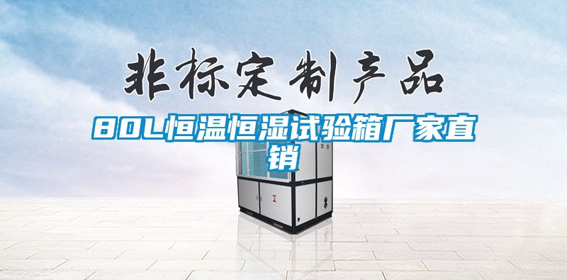 80L恒溫恒濕試驗箱廠(chǎng)家直銷(xiāo)
