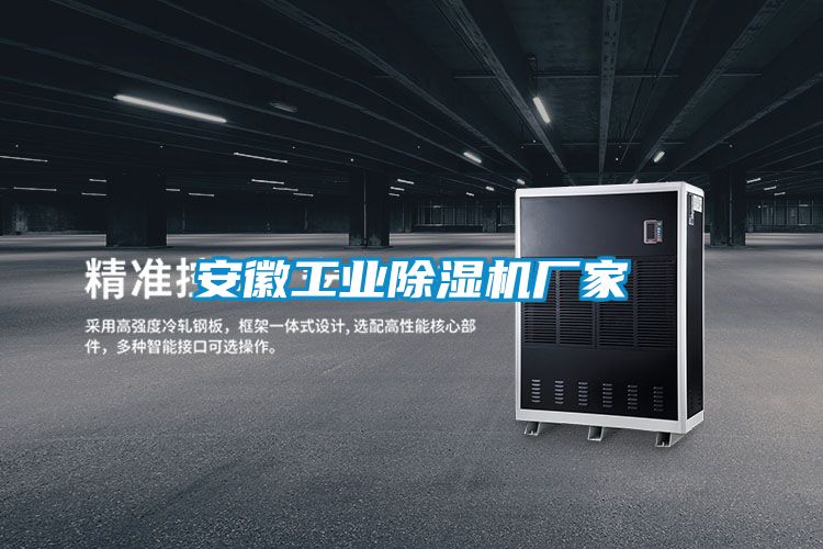 安徽工業(yè)除濕機廠(chǎng)家