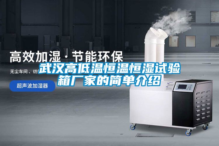 武漢高低溫恒溫恒濕試驗箱廠(chǎng)家的簡(jiǎn)單介紹