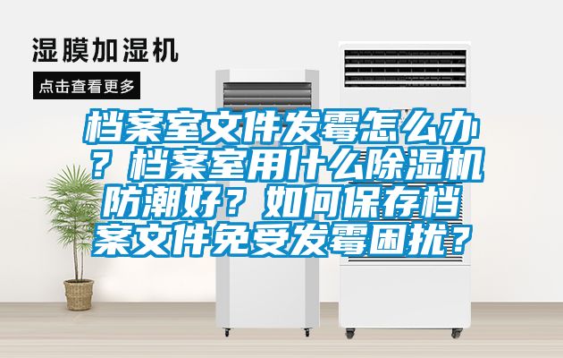檔案室文件發(fā)霉怎么辦？檔案室用什么除濕機防潮好？如何保存檔案文件免受發(fā)霉困擾？