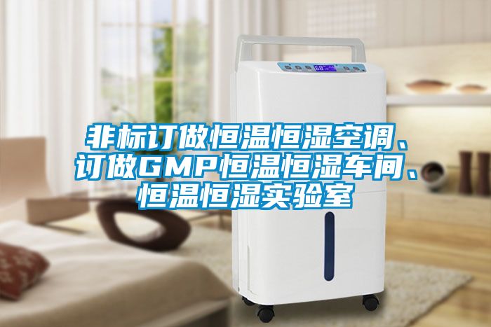 非標訂做恒溫恒濕空調、訂做GMP恒溫恒濕車(chē)間、恒溫恒濕實(shí)驗室