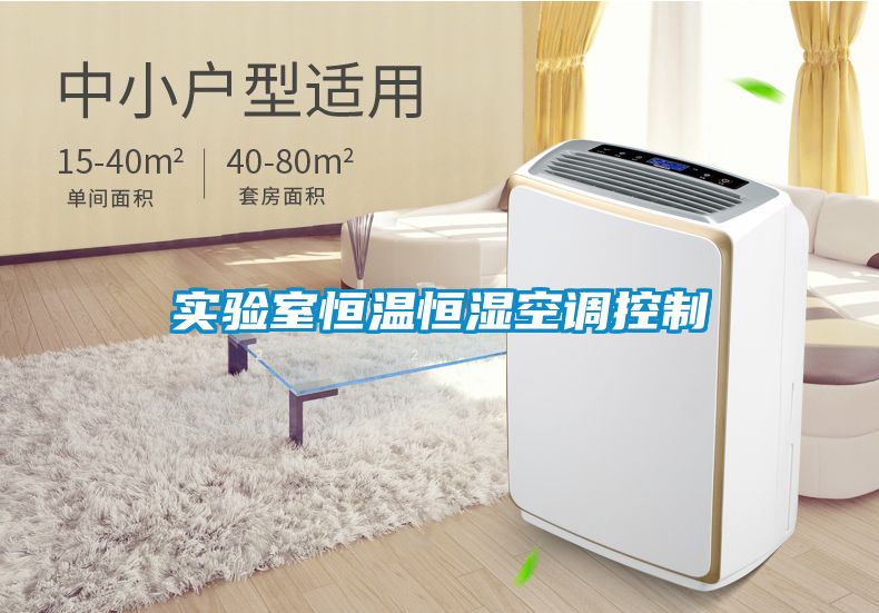 實(shí)驗室恒溫恒濕空調控制