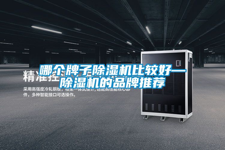哪個(gè)牌子除濕機比較好—除濕機的品牌推薦