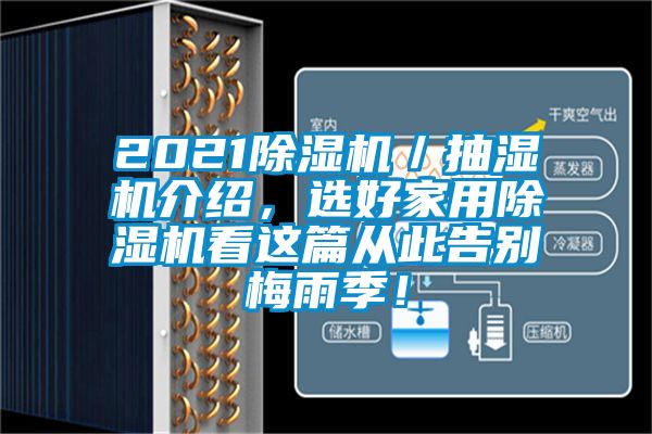 2021除濕機／抽濕機介紹，選好家用除濕機看這篇從此告別梅雨季！