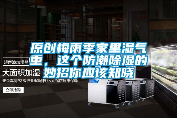 原創(chuàng  )梅雨季家里濕氣重，這個(gè)防潮除濕的妙招你應該知曉