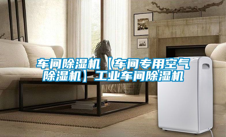 車(chē)間除濕機【車(chē)間專(zhuān)用空氣除濕機】工業(yè)車(chē)間除濕機