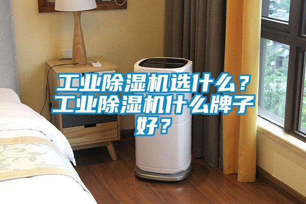 工業(yè)除濕機選什么？工業(yè)除濕機什么牌子好？