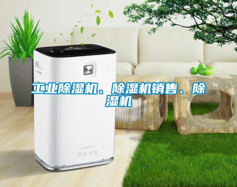 工業(yè)除濕機、除濕機銷(xiāo)售、除濕機