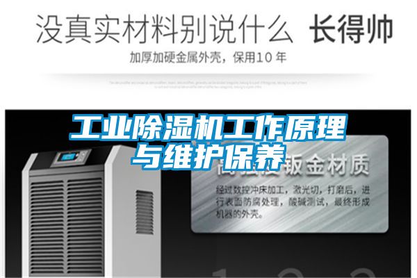 工業(yè)除濕機工作原理與維護保養
