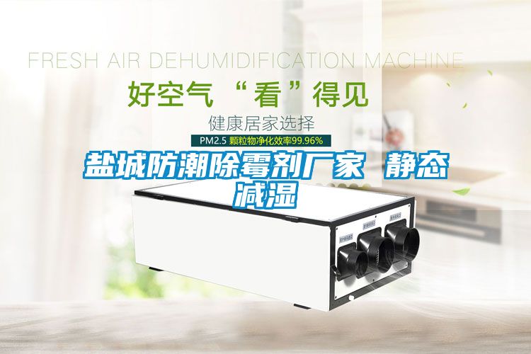 鹽城防潮除霉劑廠(chǎng)家 靜態(tài)減濕