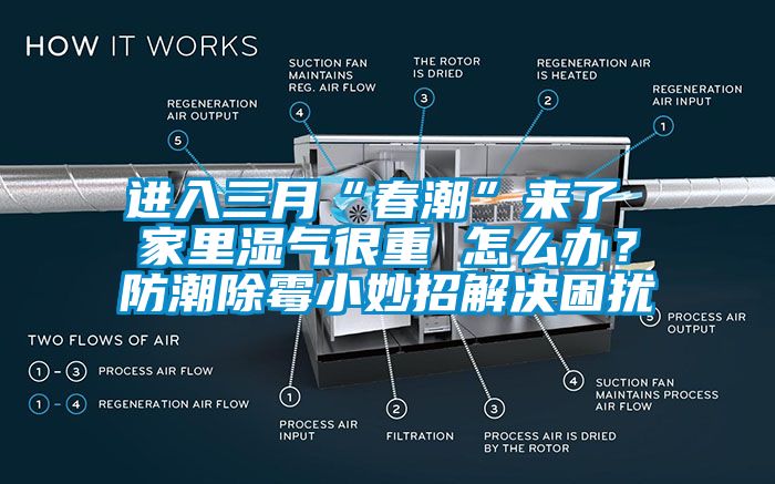 進(jìn)入三月“春潮”來(lái)了 家里濕氣很重 怎么辦？防潮除霉小妙招解決困擾