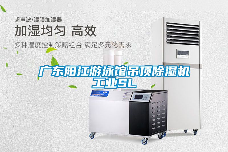 廣東陽(yáng)江游泳館吊頂除濕機工業(yè)SL