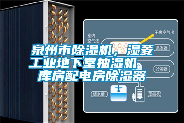 泉州市除濕機，濕菱工業(yè)地下室抽濕機  庫房配電房除濕器