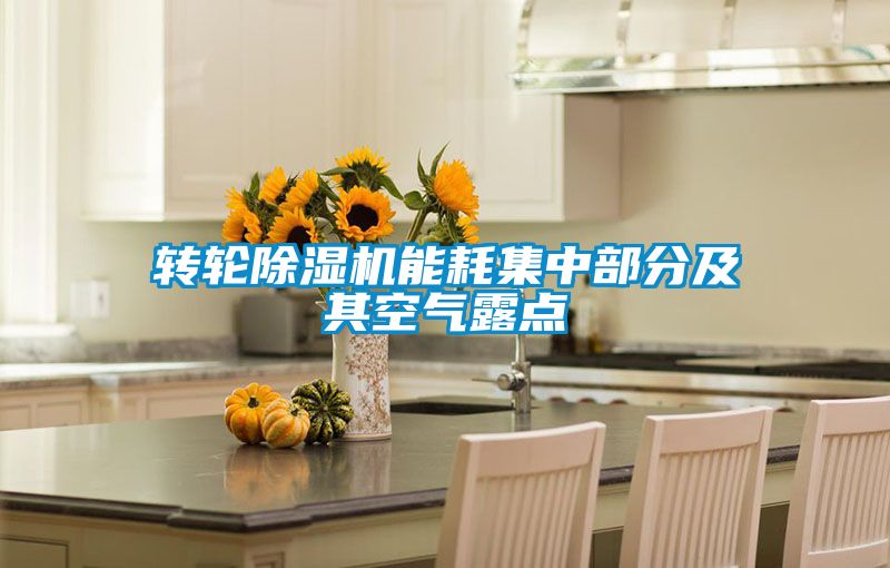 轉輪除濕機能耗集中部分及其空氣露點(diǎn)