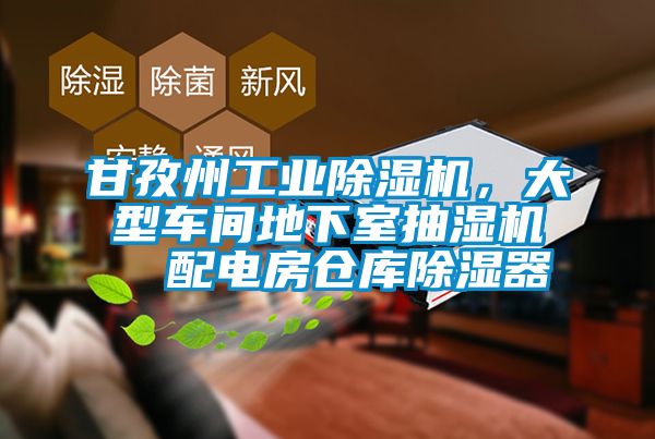甘孜州工業(yè)除濕機，大型車(chē)間地下室抽濕機  配電房倉庫除濕器