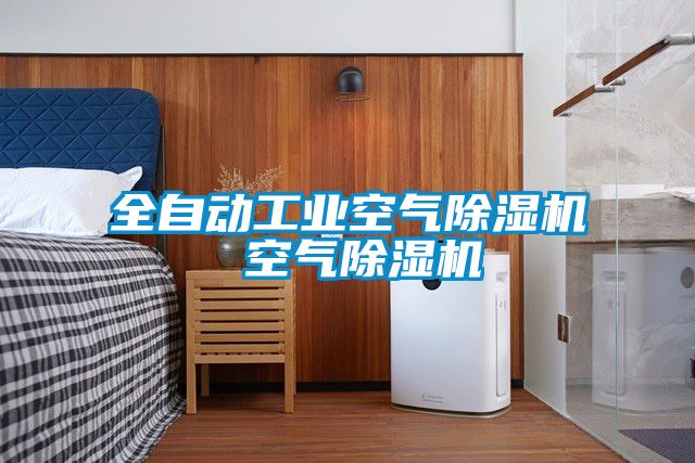 全自動(dòng)工業(yè)空氣除濕機 空氣除濕機