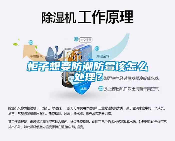 柜子想要防潮防霉該怎么處理？